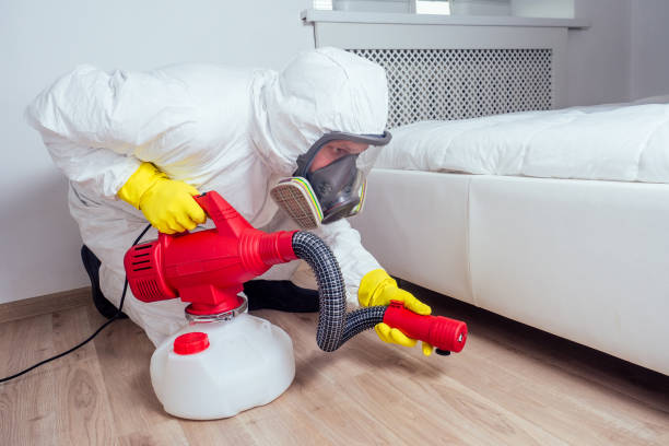 Best Local Pest Control Services  in Parkville, MD