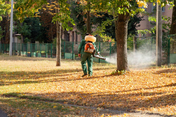  Parkville, MD Pest Control Pros