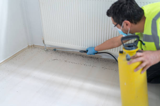Flea Control Services in Parkville, MD